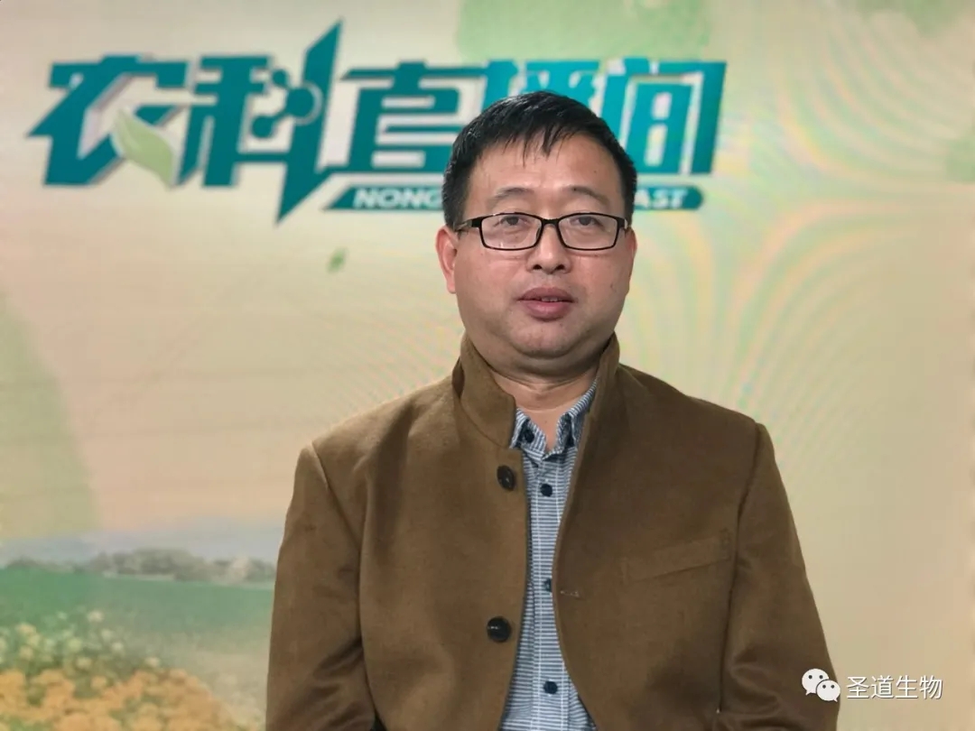 杨维仁教授-圣道生物科技创新总顾问