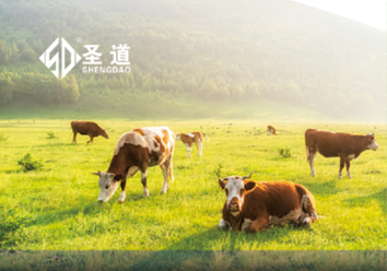 窖宁JN002反刍发酵饲料