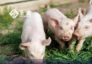 Yanning Mouth Treasure