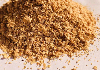 窖宁JN003发酵棕榈粕