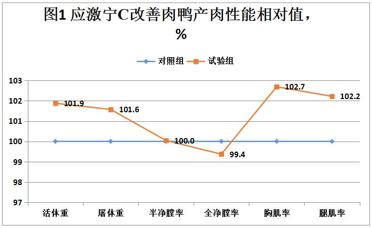 应激宁C肉鸭应用功效和效益比较研究