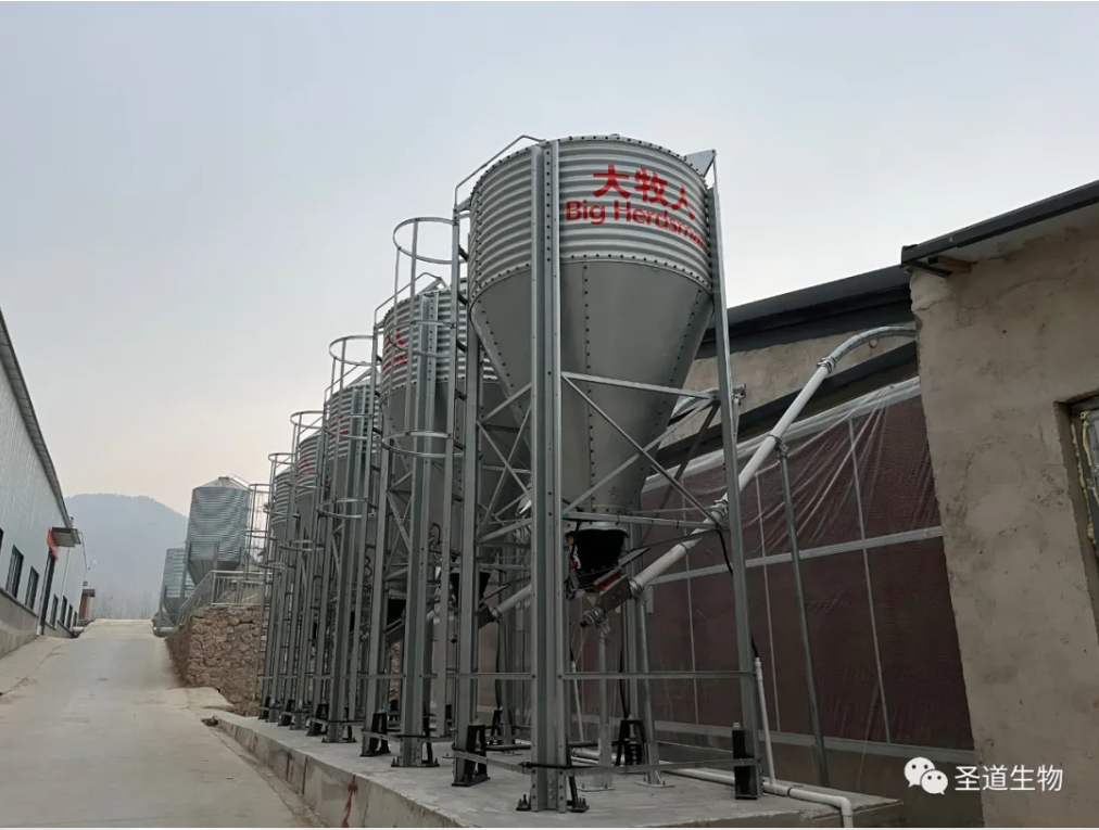 2022—圣道年会—定稿