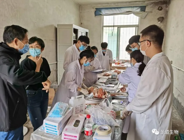 立志为国内应用研究最好的饲料添加剂企业